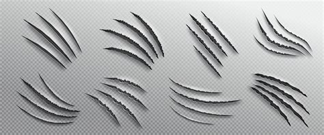 Realistic set of animal claw marks 25449616 Vector Art at Vecteezy