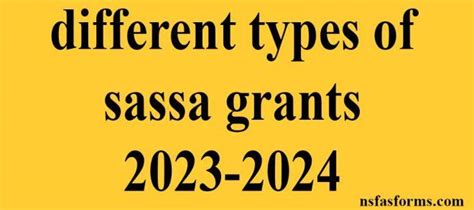 Different Types Of Sassa Grants 2023 2024