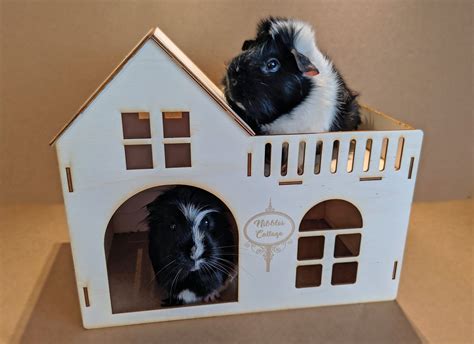 62 Exquisite Guinea Pig House Design You Wont Be Disappointed