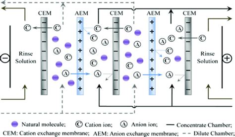 Schematic Representation Of Ion Exchange Membranes Ran Et Al 2017