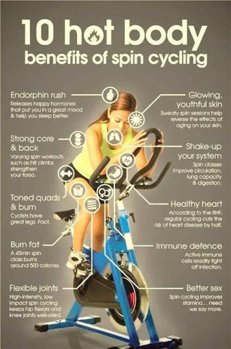 Spin Bike Vs Exercise Bike Which One Will You Choose Why