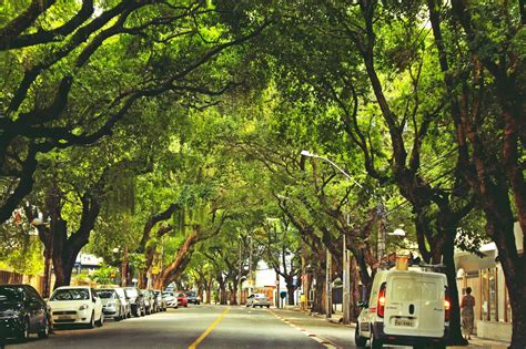 Arborização Nas Ruas E Avenidas Do Brasil Skyscrapercity Forum