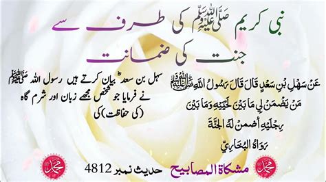 Zaban Ki Hifazat Zuban Ki Hifazat Ki Hadith Nabi Saws Ki Hadith