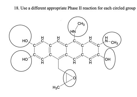 Solved 18 Use A Different Appropriate Phase Ii Reaction For
