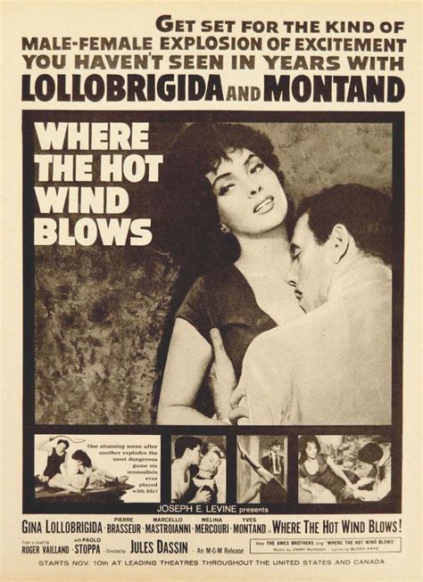 Where The Hot Wind Blows With Yves Montand And Gina Lollabrigida Gina Lollobrigida Classic