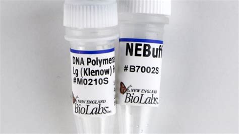 RSC EStore L DNA Polymerase I Klenow Fragment