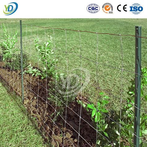 Yeeda T Post Wire Mesh Fencing China Manufacturing Galvanized Steel Fencing Wire 1 5m X 3m Farm