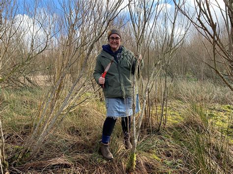 Trying Out Willow Coppicing