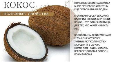 Кокосовое масло в косметологии: полезные свойства, рекомендации по ...