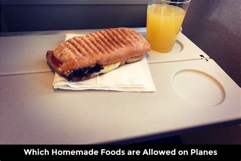 Guide to Bringing Homemade Food on Planes (TSA Rules)