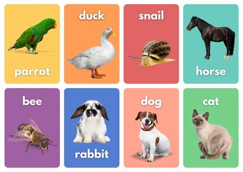 Plantillas De Tarjetas De Animales Gratis Para Editar Canva