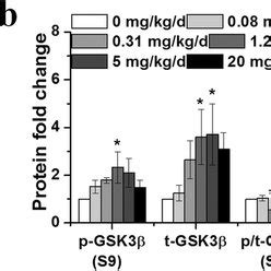 Pfoa Exposure Altered Phosphorylation Of Akt Substrates A Western