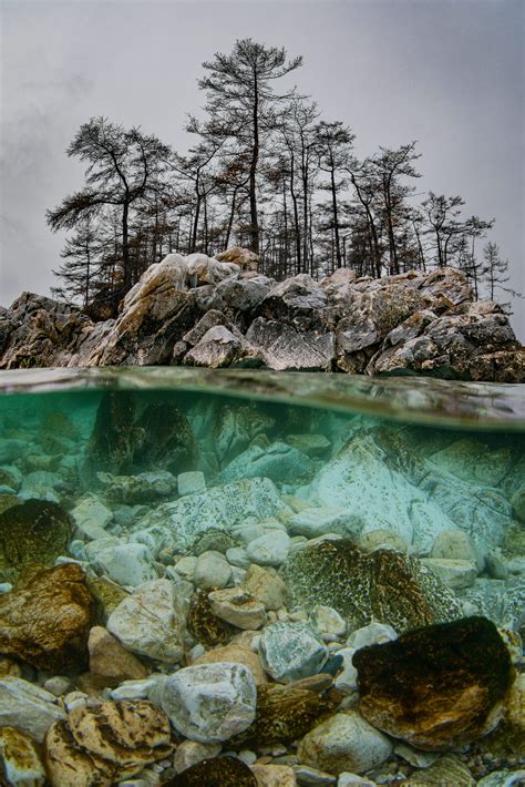 Photographer Captures Adorable Shots of Seal Pups in Lake Baikal ...