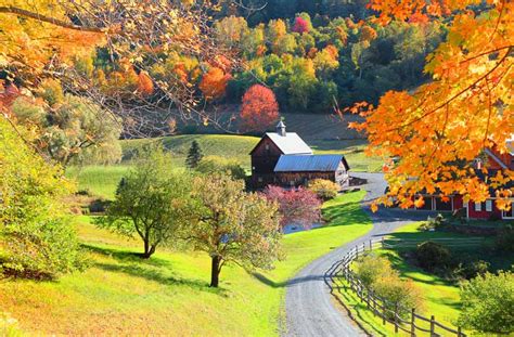 Vermont Native Plants