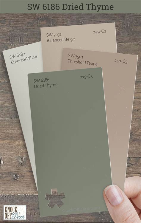 Sherwin Williams Dried Thyme Sw Paint Color Review