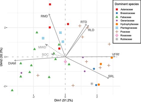 Biplot Of The Principal Component Analysis Pca Between Root