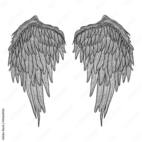 Angel wings. Black and white realistic illustration. Tattoo Stock Vector | Adobe Stock