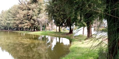 Gratuidad en el parque Chapalita comienza el 1 de enero Página Central