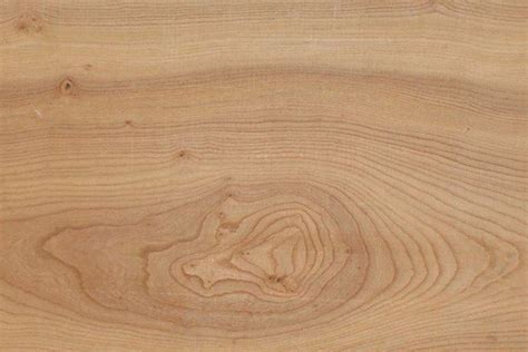 European Elm Hardwood Order Online Latham Timber