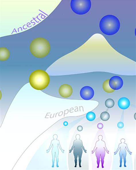 Lingering Effects Of Neanderthal Dna Found In Modern Humans The