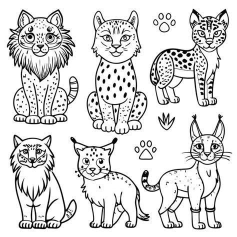 Line art of various wild cats for coloring or illustration | Premium AI ...