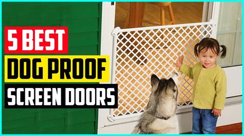 Dog Proof Camper Screen Door At Nathan Lozano Blog