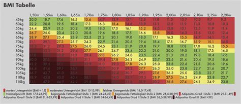 Bmi Einordnung Interpretation Kritik