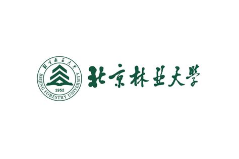 logo logonet