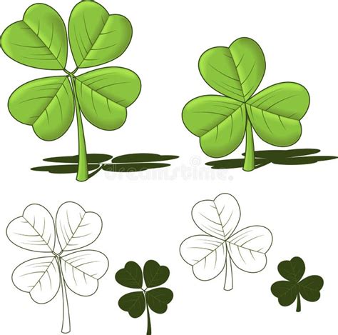 3 Leaf Shamrock Stock Illustrations 171 3 Leaf Shamrock Stock