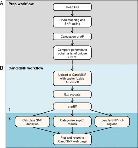 Bioinformatics Pipeline For Sequence Analysis Pipeline Indicating The