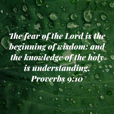 Proverbs 9 10 The Fear Of The Lord Is The Beginning Of Wisdom And The