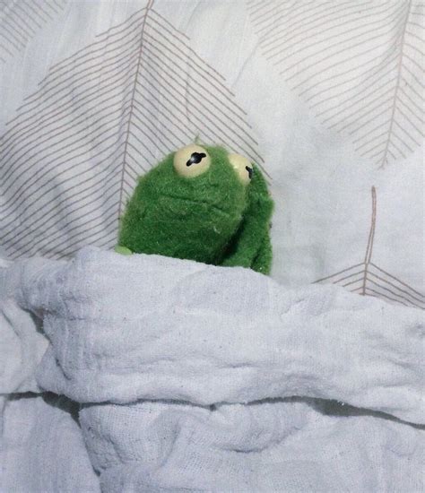 Sad Kermit Bed Blank Template Imgflip Hot Sex Picture