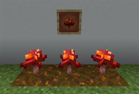 【マイクラje】真紅のキノコの入手方法と5つの使い道を解説（あかまつんのマインクラフト）｜あかまつんのマインクラフト