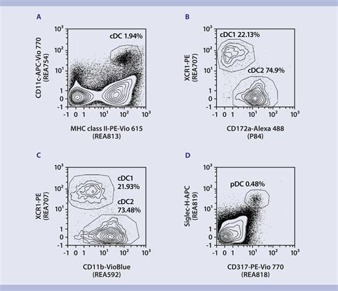 Immunophenotyping Mouse Dcs From Spleen Protocol Miltenyi Biotec Canada