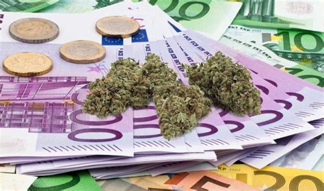 Cuanto cuesta un gramo de marihuana en España GrowBlog Tecnocultivo