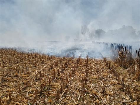 Alerta La Falta De Humedad Y El Descuido Humano Producen Focos De