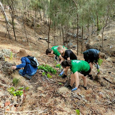 Grill D Friends Of Black Hill Morialta