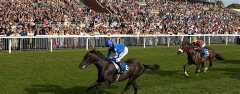York Races Ladies Day 2015