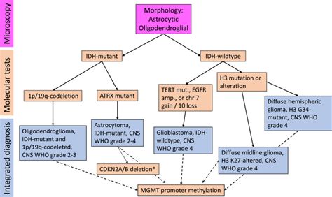 Gliomas In Adults Guidance On Investigations Diagnosis Treatment And