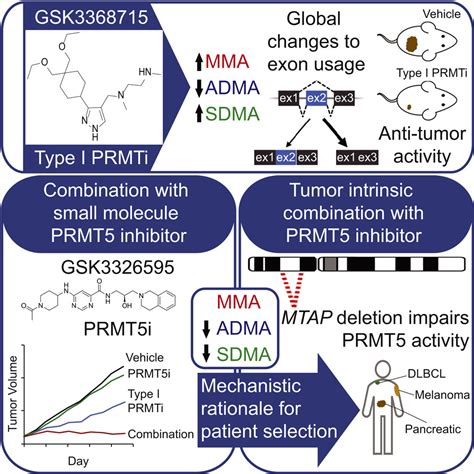 Anti Tumor Activity Of The Type I Prmt Inhibitor Gsk