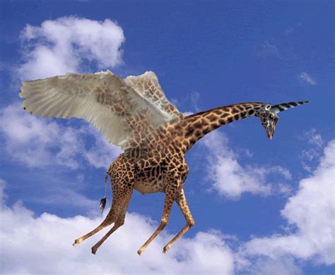 Flying Giraffe | Giraffe, Animals, Picture