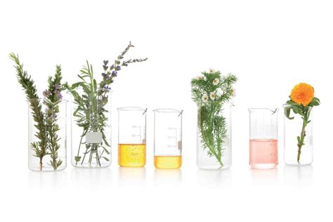 Bio-Oil: l’olio che migliora visibilmente l’aspetto della pelle - Stile ...
