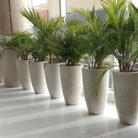 Jual Pot Teraso Tanaman Hias 3865 Kab Sidoarjo Galaxy Stone Surabaya Tokopedia