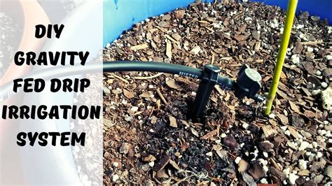 Drip Irrigation Kit For Gravity Feed At Debra Brooks Blog