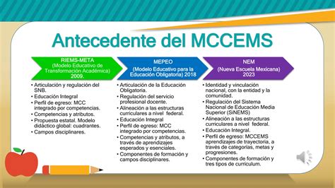 Conceptos Del Mccems Pptx