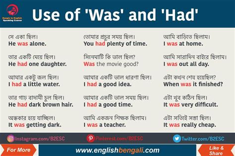 basic english grammar grammar vrogueco