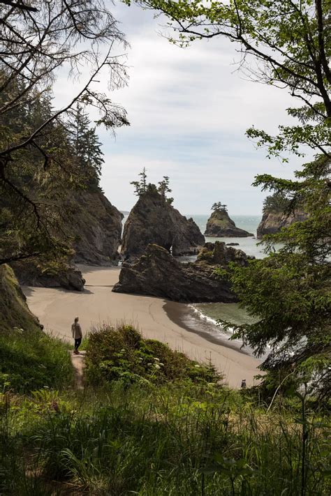 How To Get To Secret Beach Oregon A Must See Live Love Run Travel