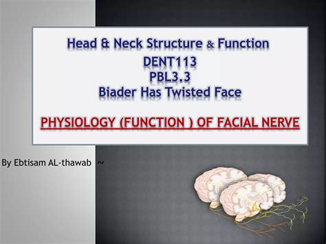 Facial Nerve Ppt