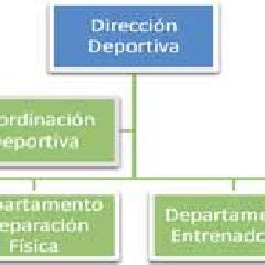 Top 98 Imagen Organigrama De Un Club Deportivo Y Sus Funciones