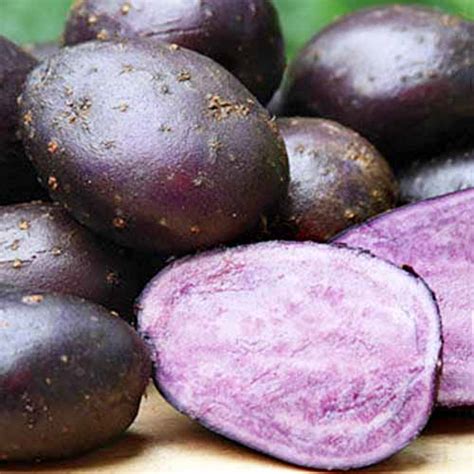 The Best 11 Potato Varieties To Grow At Home Gardeners Path